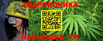 ГАЛЛЮЦИНОГЕННЫЕ ГРИБЫ Кулебаки