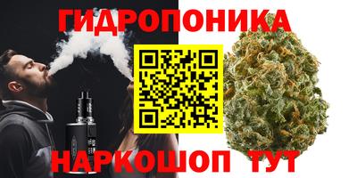 ГАЛЛЮЦИНОГЕННЫЕ ГРИБЫ Кулебаки