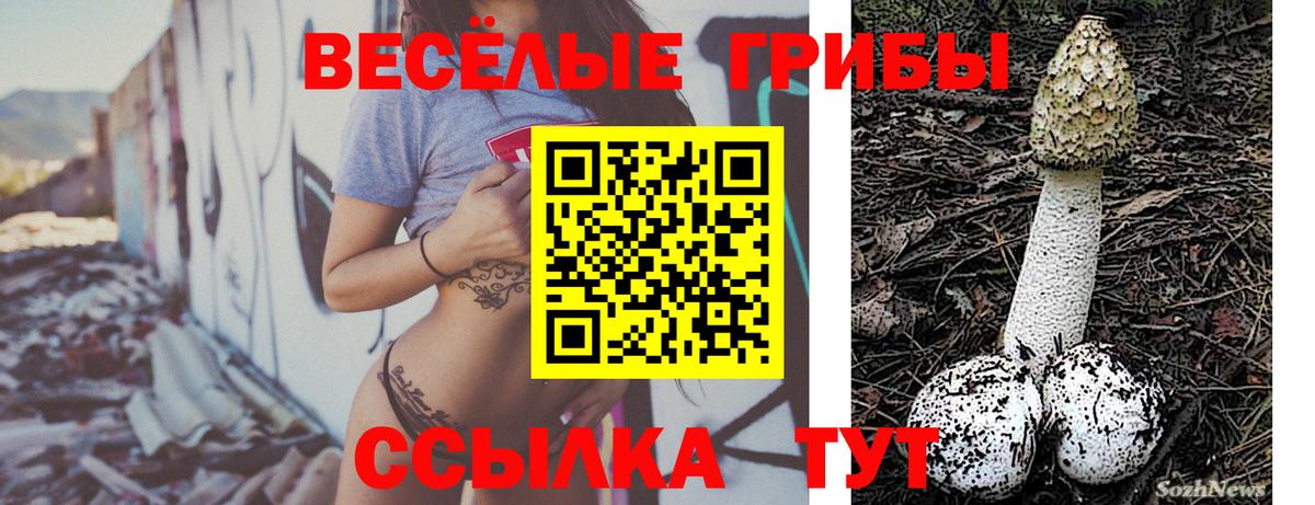Псилоцибиновые грибы GOLDEN TEACHER Еманжелинск