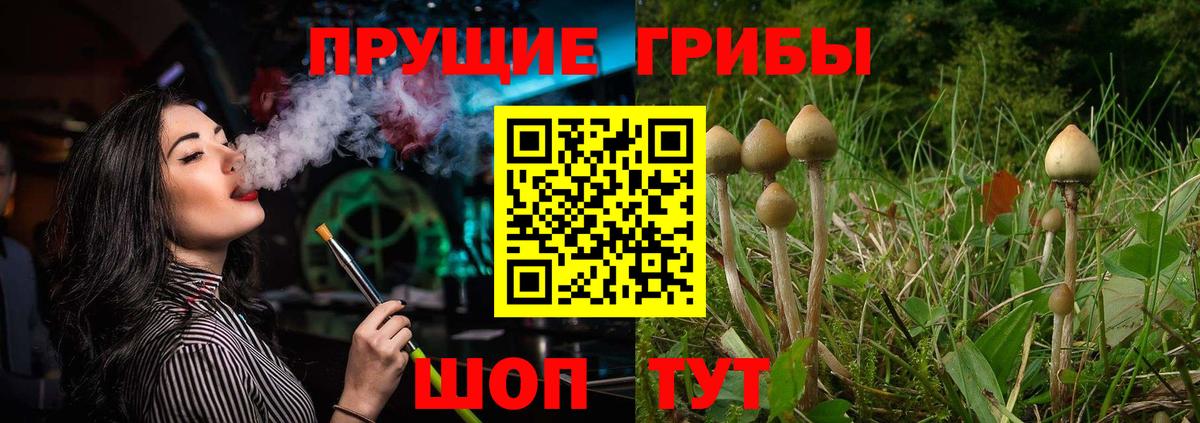 хочу   Вход с VPN  Еманжелинск  Галлюциногенные грибы Psilocybe 